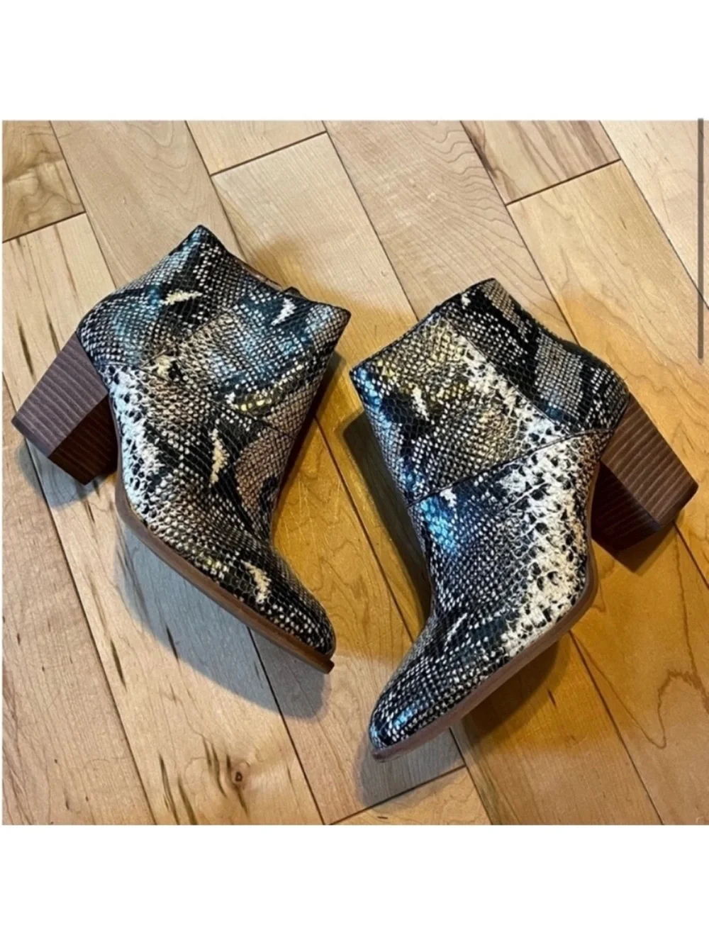 Madewell Ankle Boots Snake Embossed Leather Moonstone Multi size seven (7)